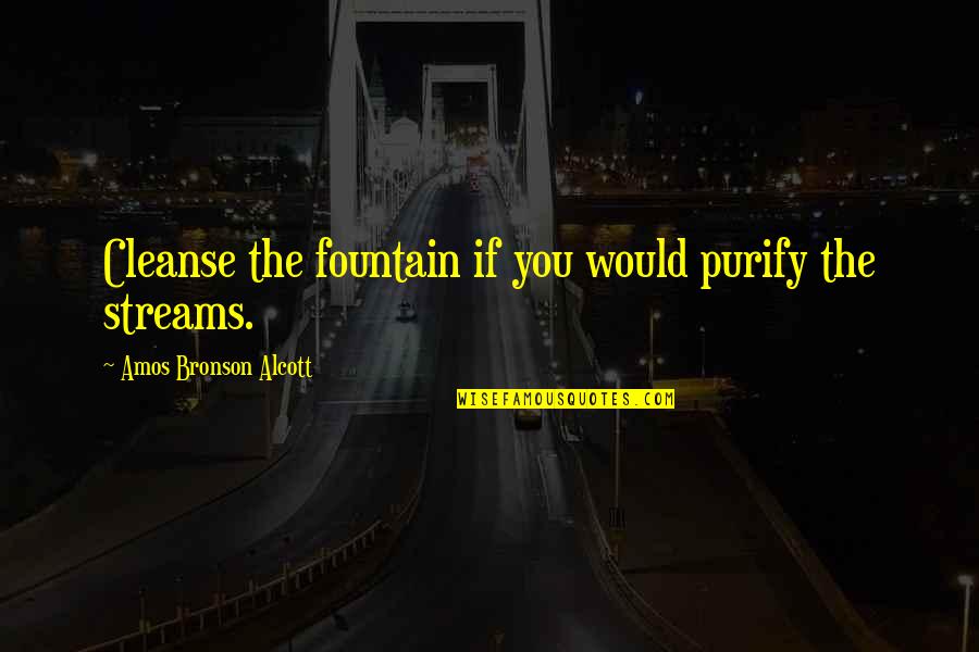 Intemporalidade Quotes By Amos Bronson Alcott: Cleanse the fountain if you would purify the Intemporalidade Quotes By Amos Bronson Alcott: Cleanse the fountain if you would purify the