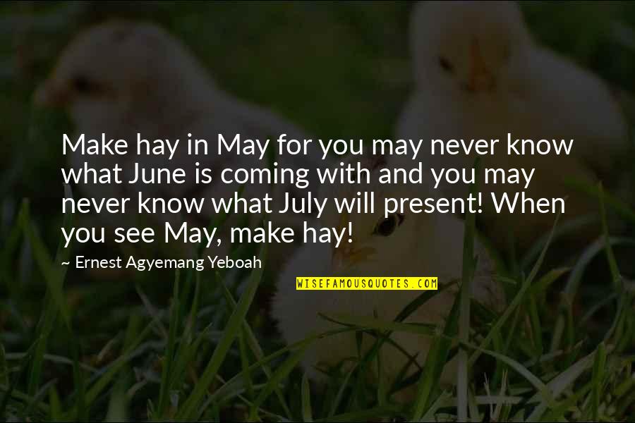 Intendere In Inglese Quotes By Ernest Agyemang Yeboah: Make hay in May for you may never