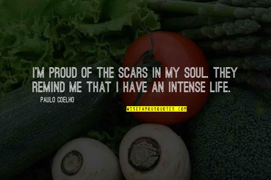 Intense Quotes By Paulo Coelho: I'm proud of the scars in my soul.