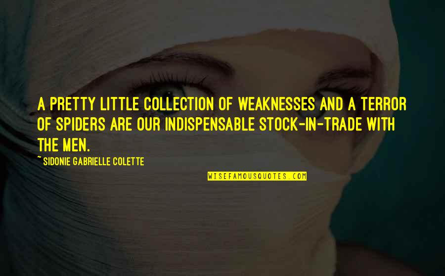 Intented Quotes By Sidonie Gabrielle Colette: A pretty little collection of weaknesses and a