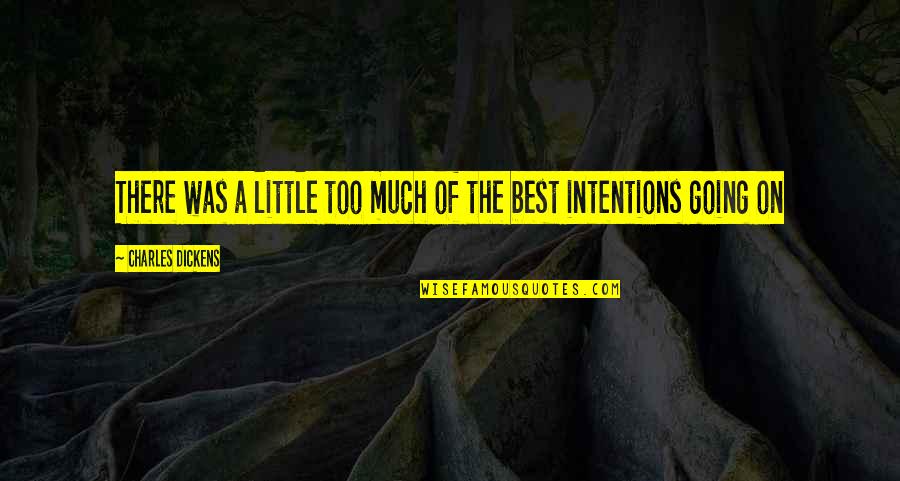 Intentions Quotes By Charles Dickens: There was a little too much of the