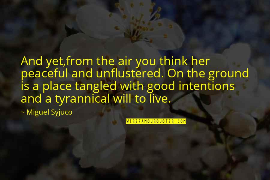Intentions Quotes By Miguel Syjuco: And yet,from the air you think her peaceful