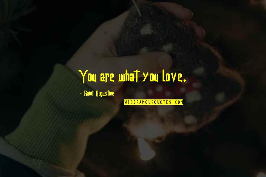 Interbreeding Humans Quotes By Saint Augustine: You are what you love. Interbreeding Humans Quotes By Saint Augustine: You are what you love.
