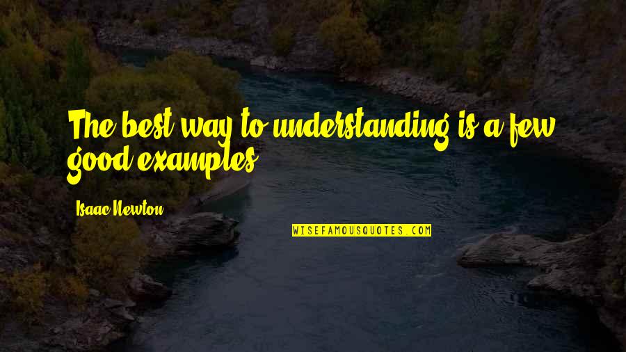 Intercambiamos Quotes By Isaac Newton: The best way to understanding is a few