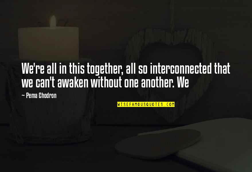 Interconnected Quotes By Pema Chodron: We're all in this together, all so interconnected
