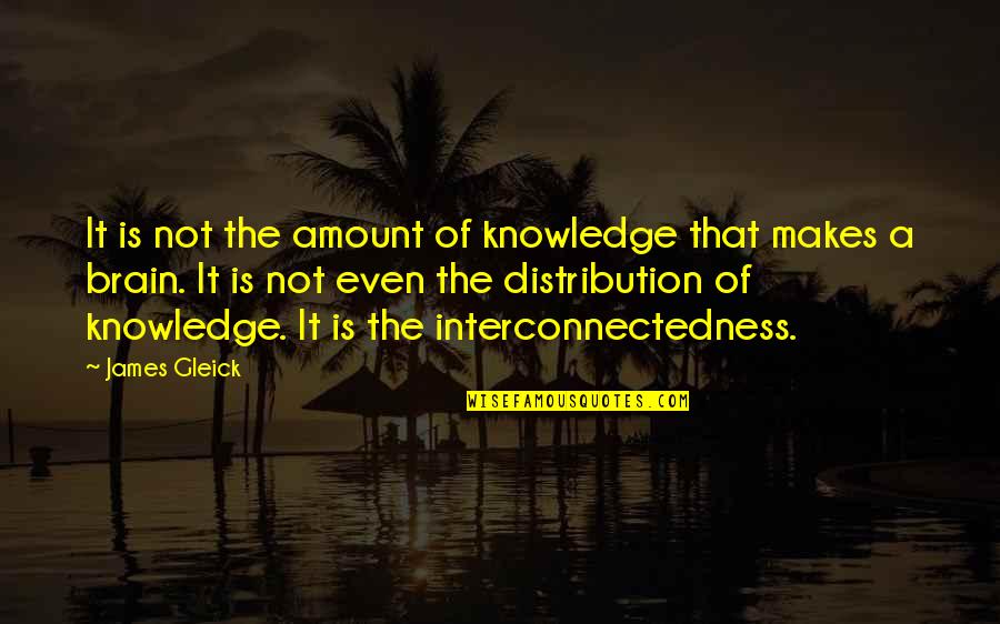 Interconnectedness Quotes By James Gleick: It is not the amount of knowledge that