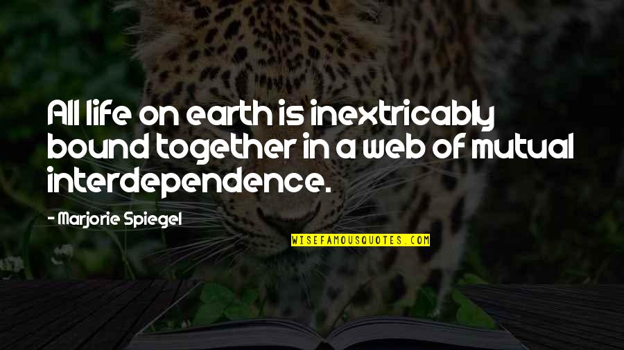 Interdependence Of Life Quotes By Marjorie Spiegel: All life on earth is inextricably bound together