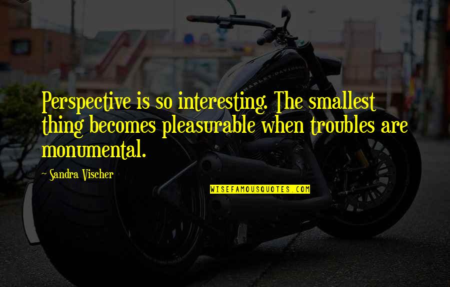 Interesting And Inspirational Quotes By Sandra Vischer: Perspective is so interesting. The smallest thing becomes