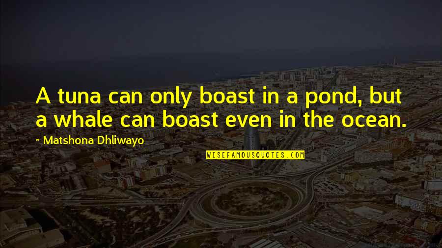 Interesting Funny Or Informative Quotes By Matshona Dhliwayo: A tuna can only boast in a pond,