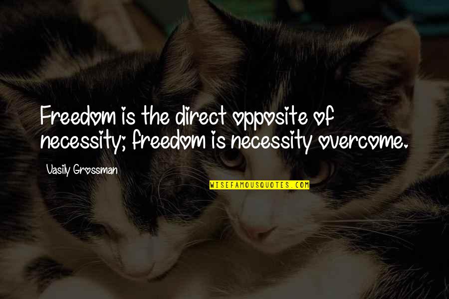 Interior Decor Quotes By Vasily Grossman: Freedom is the direct opposite of necessity; freedom
