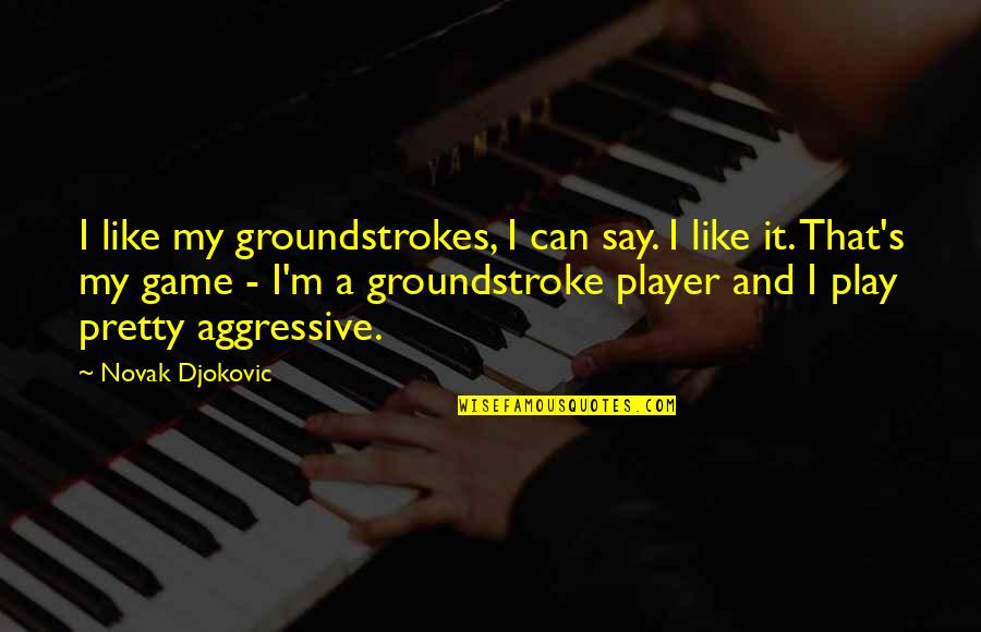 Interiorizzare In Inglese Quotes By Novak Djokovic: I like my groundstrokes, I can say. I