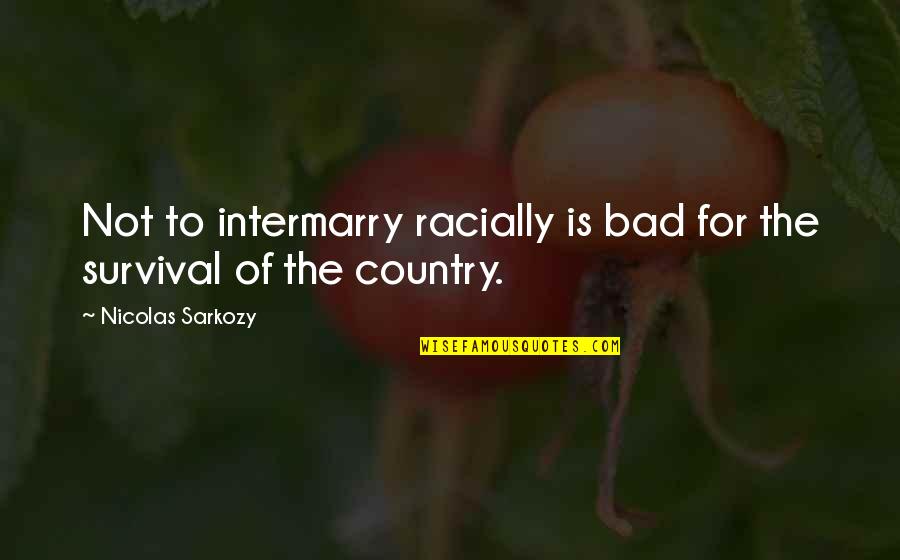 Intermarry Quotes By Nicolas Sarkozy: Not to intermarry racially is bad for the Intermarry Quotes By Nicolas Sarkozy: Not to intermarry racially is bad for the