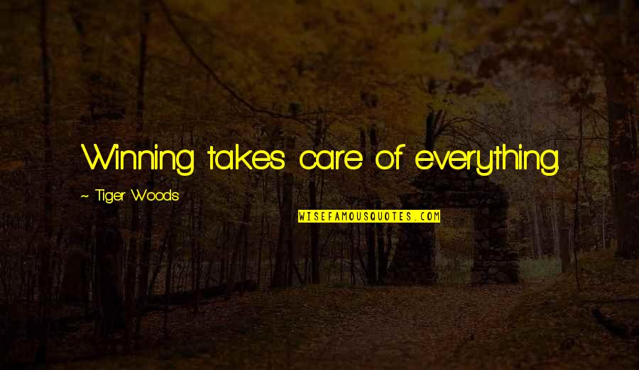 Intermittence Quotes By Tiger Woods: Winning takes care of everything.