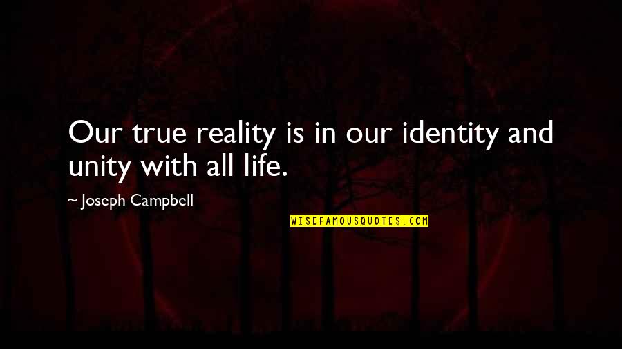 International Agreements Quotes By Joseph Campbell: Our true reality is in our identity and