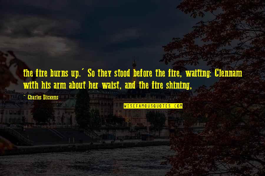 International Cat Day 2021 Quotes By Charles Dickens: the fire burns up.' So they stood before International Cat Day 2021 Quotes By Charles Dickens: the fire burns up.' So they stood before