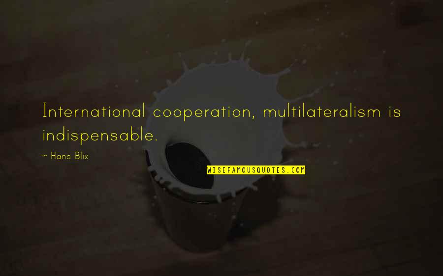 International Cooperation Quotes By Hans Blix: International cooperation, multilateralism is indispensable.