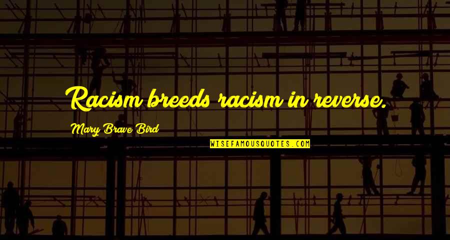 International Relations Bachelor Quotes By Mary Brave Bird: Racism breeds racism in reverse.