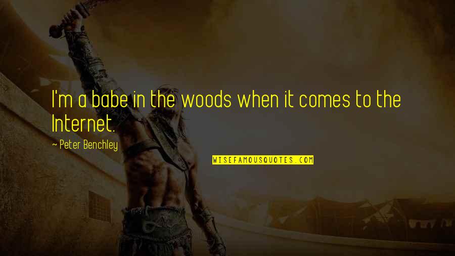 Internet Quotes By Peter Benchley: I'm a babe in the woods when it Internet Quotes By Peter Benchley: I'm a babe in the woods when it
