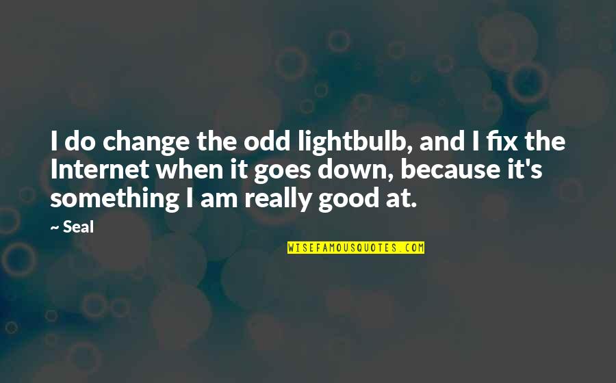 Internet That Goes Quotes By Seal: I do change the odd lightbulb, and I