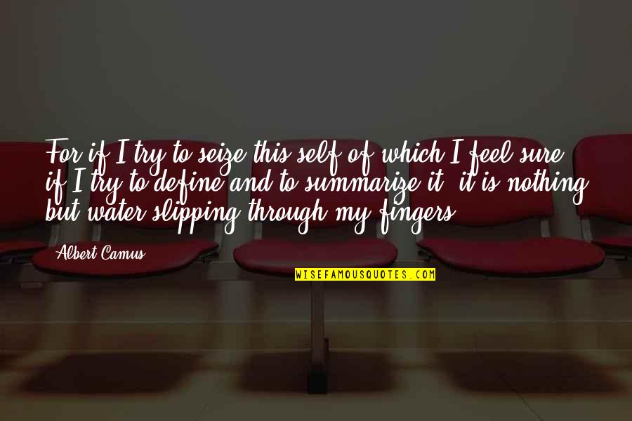 Interparty Review Quotes By Albert Camus: For if I try to seize this self