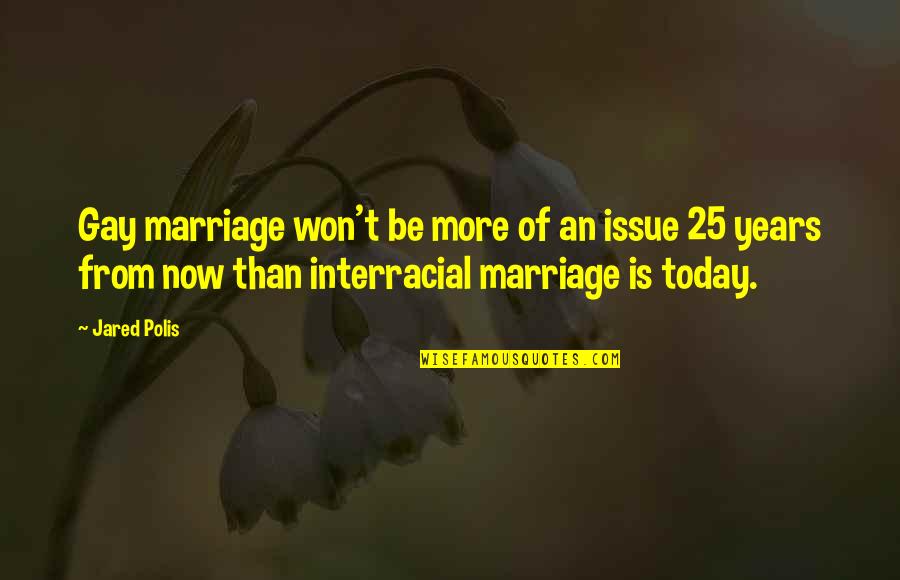 Interracial Marriage Quotes By Jared Polis: Gay marriage won't be more of an issue