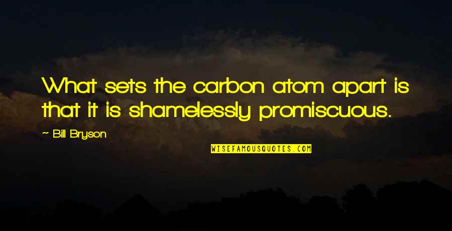 Interrogantes Simbolo Quotes By Bill Bryson: What sets the carbon atom apart is that