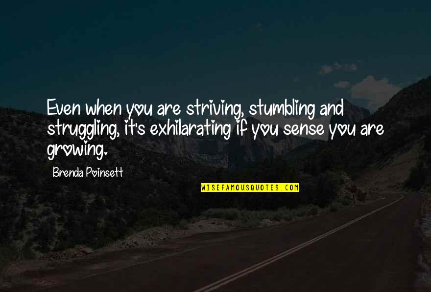 Interrogants Quotes By Brenda Poinsett: Even when you are striving, stumbling and struggling,