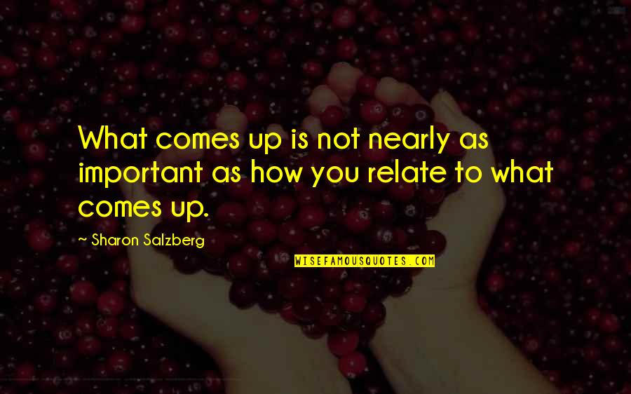Interruzione Della Quotes By Sharon Salzberg: What comes up is not nearly as important