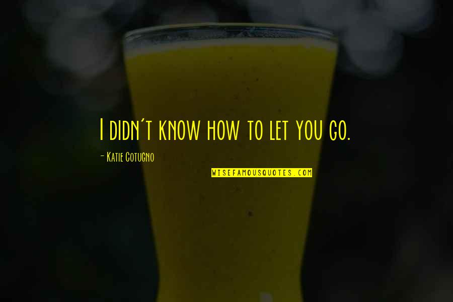 Interseccion Definicion Quotes By Katie Cotugno: I didn't know how to let you go.