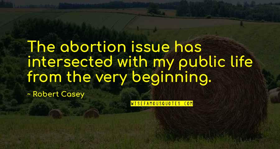 Intersected Quotes By Robert Casey: The abortion issue has intersected with my public