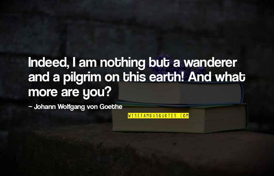 Intertextual Quotes By Johann Wolfgang Von Goethe: Indeed, I am nothing but a wanderer and