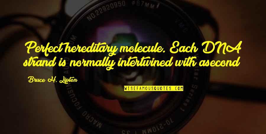 Intertwined Quotes By Bruce H. Lipton: Perfect hereditary molecule. Each DNA strand is normally