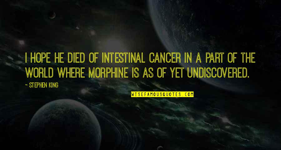 Intestinal Quotes By Stephen King: I hope he died of intestinal cancer in