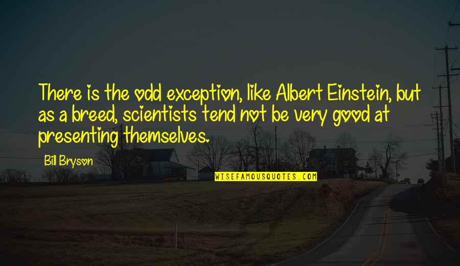 Inthehistorian'sview Quotes By Bill Bryson: There is the odd exception, like Albert Einstein,