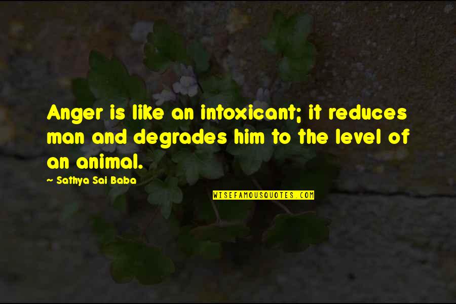 Intimacy With God Scriptures Quotes By Sathya Sai Baba: Anger is like an intoxicant; it reduces man Intimacy With God Scriptures Quotes By Sathya Sai Baba: Anger is like an intoxicant; it reduces man