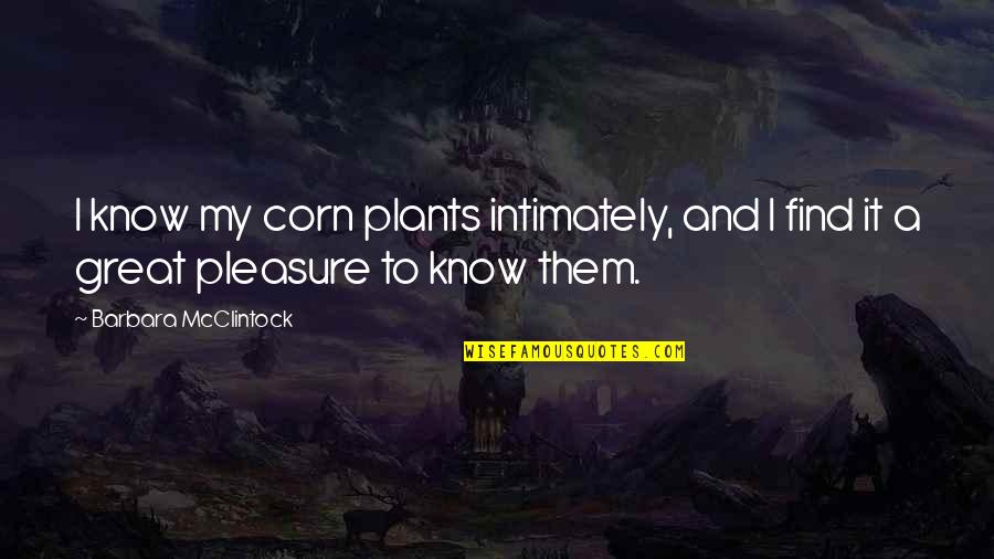 Intimately Quotes By Barbara McClintock: I know my corn plants intimately, and I