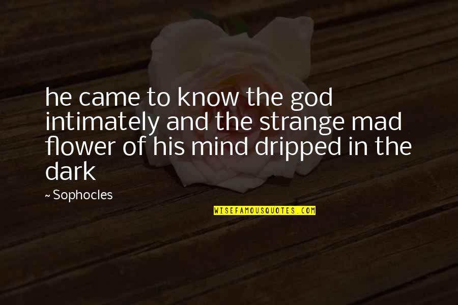 Intimately Quotes By Sophocles: he came to know the god intimately and