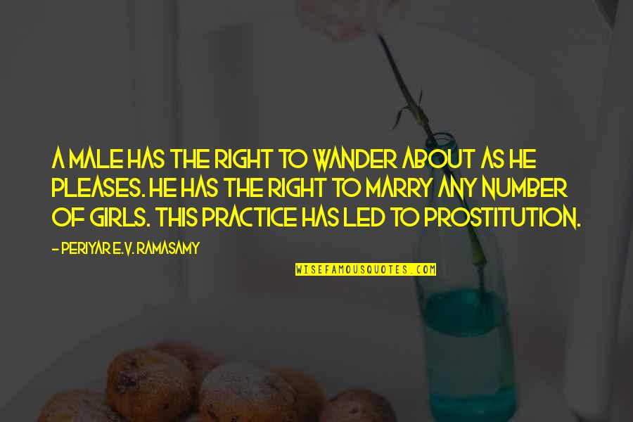 Intimidating Guys Quotes By Periyar E.V. Ramasamy: A male has the right to wander about