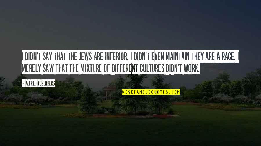 Intimidation And Bullying Quotes By Alfred Rosenberg: I didn't say that the Jews are inferior.