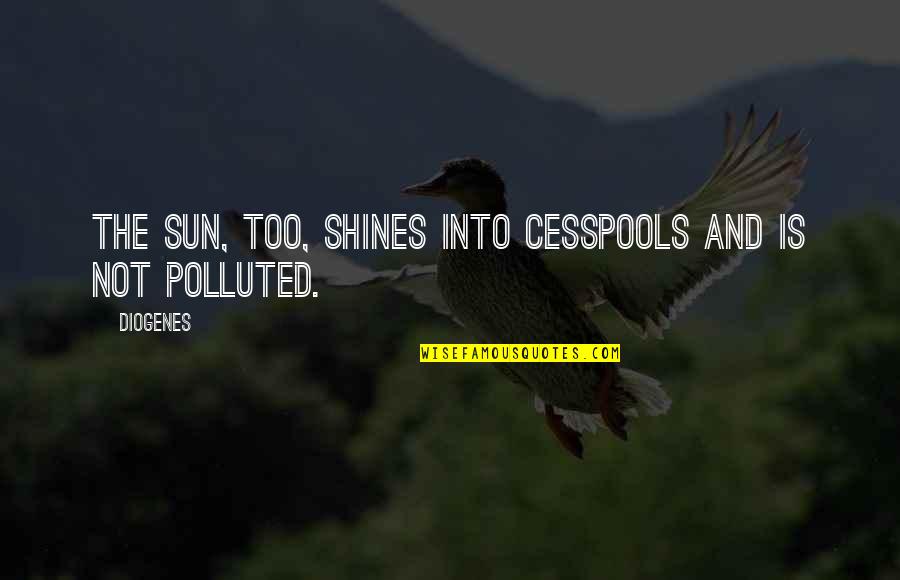 Into Nature Quotes By Diogenes: The sun, too, shines into cesspools and is