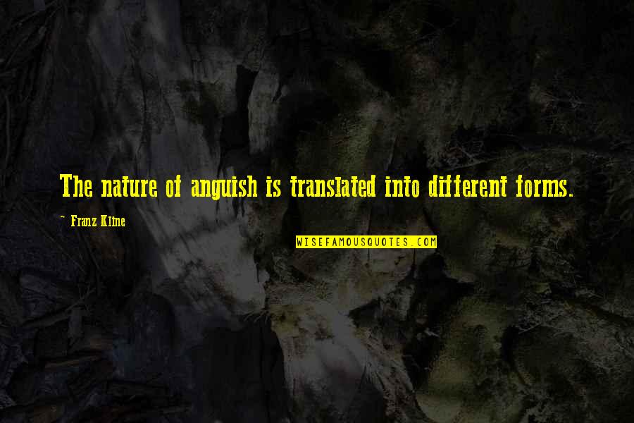 Into Nature Quotes By Franz Kline: The nature of anguish is translated into different