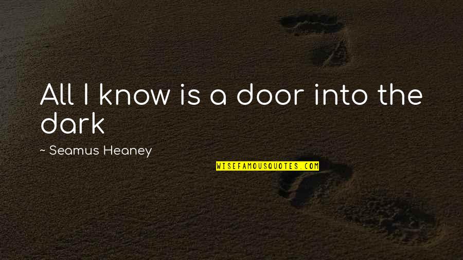 Into The Darkness Quotes By Seamus Heaney: All I know is a door into the