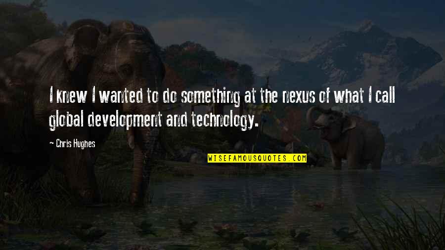 Into The Nexus Quotes By Chris Hughes: I knew I wanted to do something at