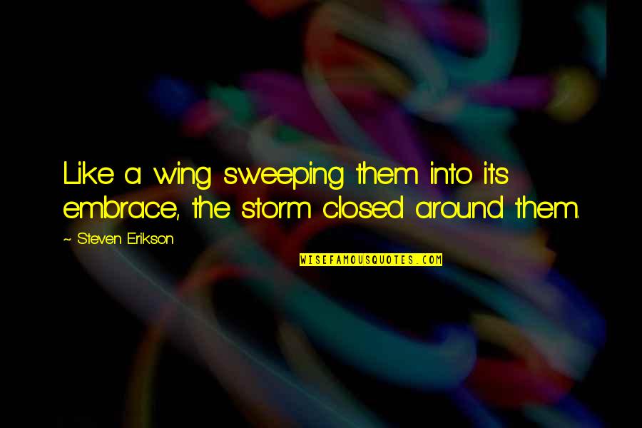 Into The Storm Quotes By Steven Erikson: Like a wing sweeping them into its embrace,