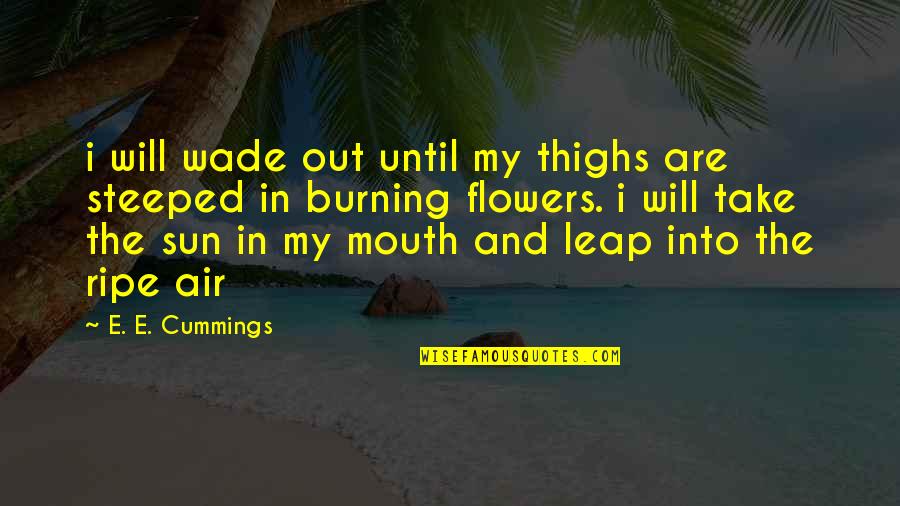 Into The Sun Quotes By E. E. Cummings: i will wade out until my thighs are