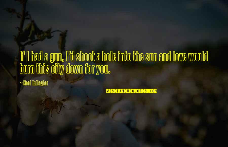 Into The Sun Quotes By Noel Gallagher: If I had a gun, I'd shoot a