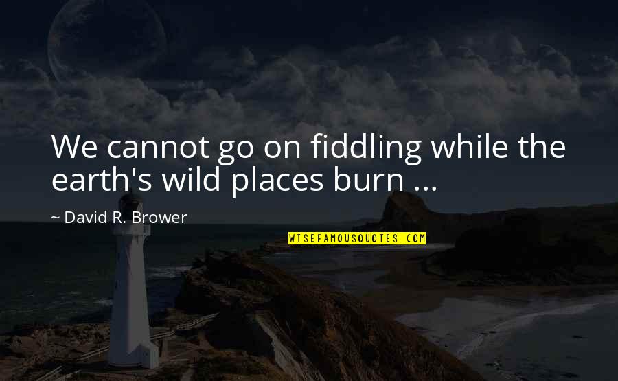 Into The Wild I Go Quotes By David R. Brower: We cannot go on fiddling while the earth's