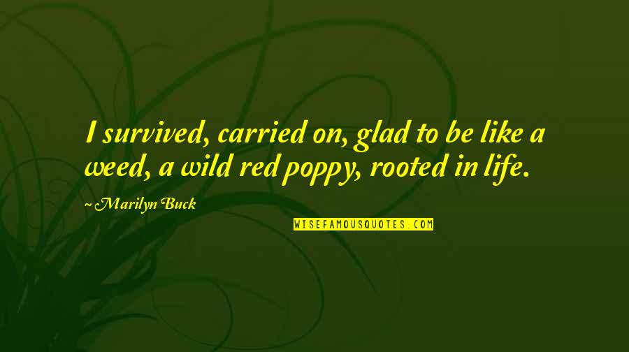 Into The Wild Life Quotes By Marilyn Buck: I survived, carried on, glad to be like