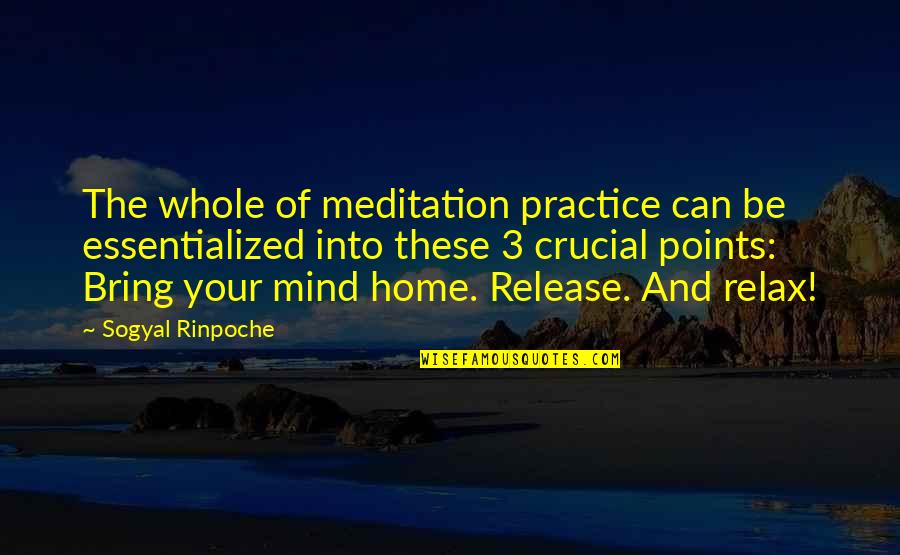 Into Your Home Quotes By Sogyal Rinpoche: The whole of meditation practice can be essentialized