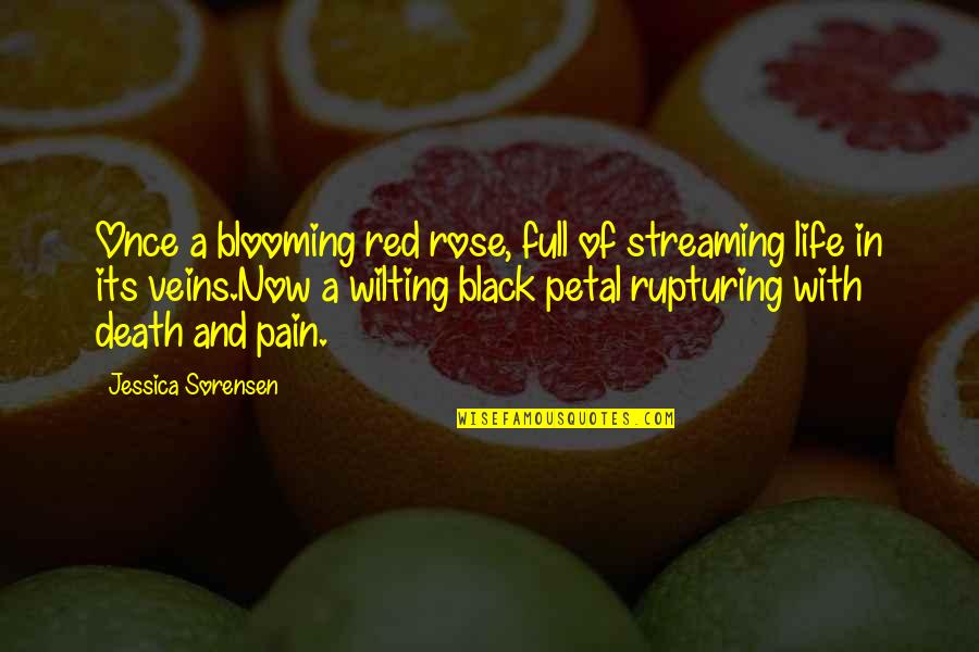 Intolerable Cruelty Gus Petch Quotes By Jessica Sorensen: Once a blooming red rose, full of streaming Intolerable Cruelty Gus Petch Quotes By Jessica Sorensen: Once a blooming red rose, full of streaming